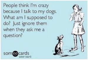 a4e8cbada5c343a0b3d8b9e80a8938a0--crazy-dog-lady-crazy-person