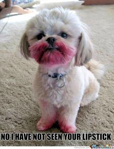 no-i-have-not-seen-your-lipstick_o_882524