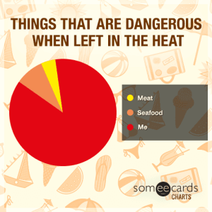 things-that-are-dangerous-when-left-out-in-the-heat-RAa