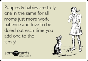 puppies-babies-are-truly-one-in-the-same-for-all-moms-just-more-work-patience-and-love-to-be-doled-out-each-time-you-add-one-to-the-family-da698